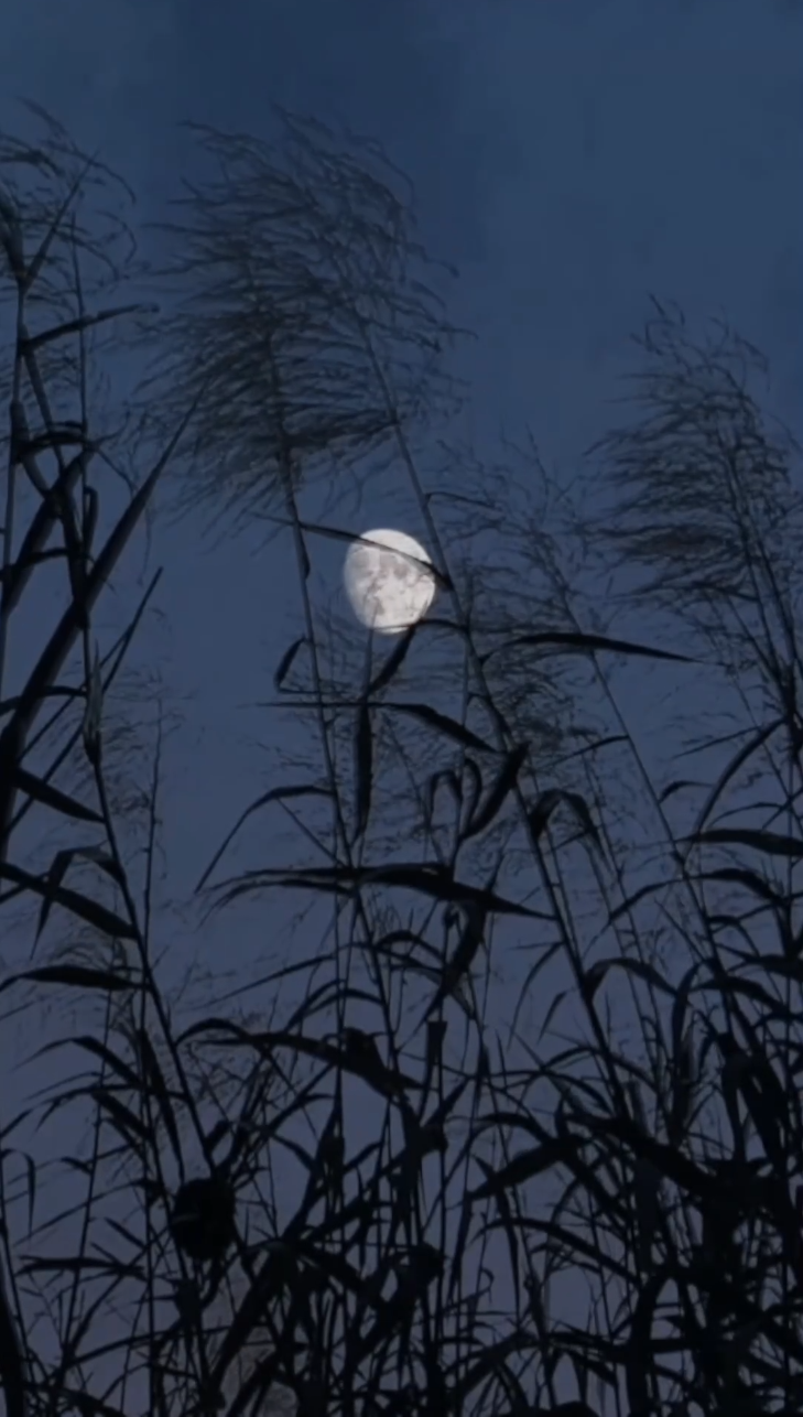 夫人居然不作妖了(全集)