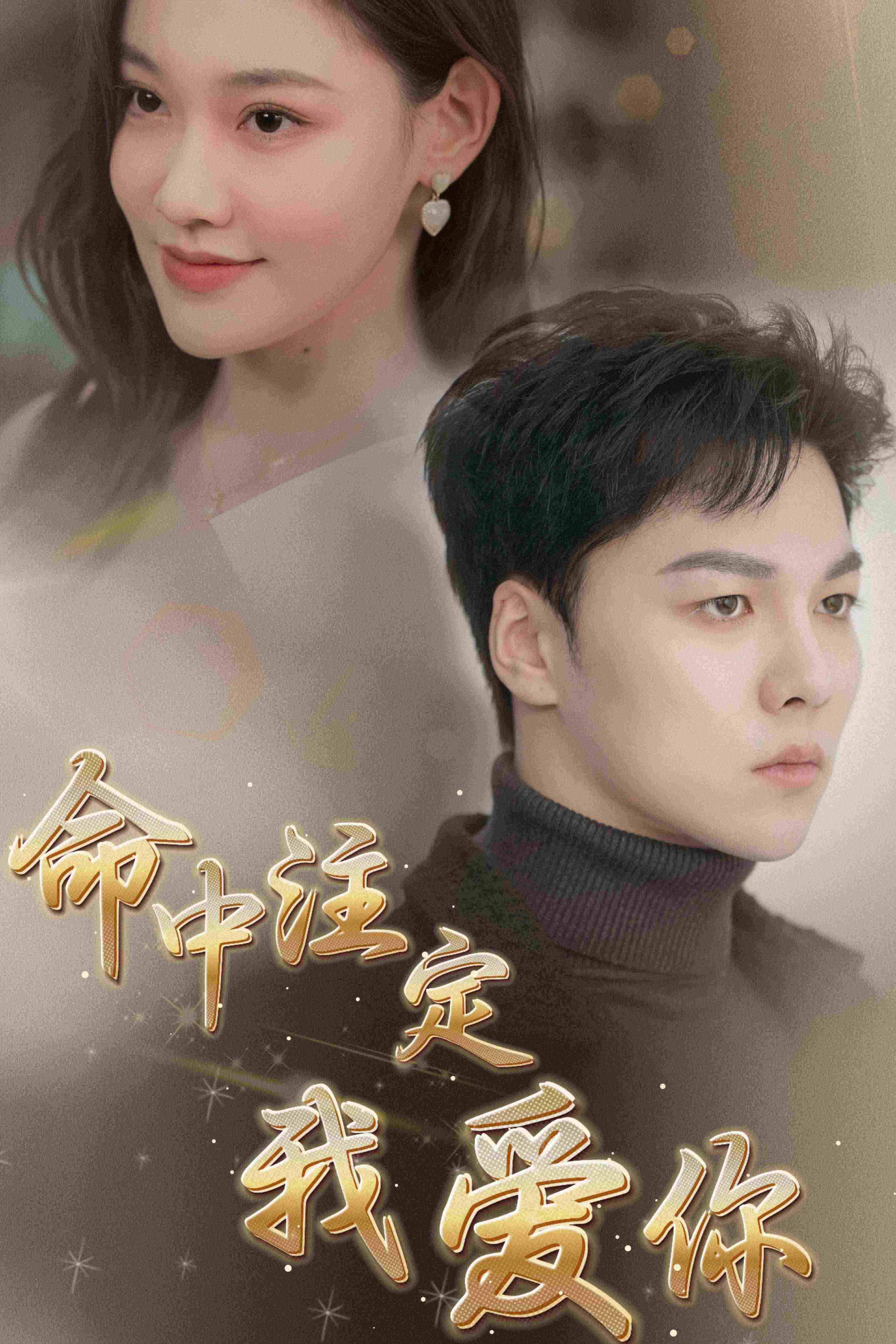 命中注定我爱你 短剧版(全集)