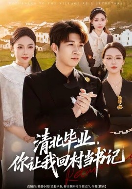 清北毕业，你让我回村当书记(全集)